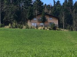 Ferienwohnung am Waldrand von Egg /Bregenzer Wald，位于埃格的酒店