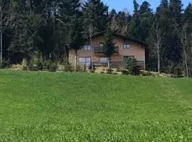 Ferienwohnung am Waldrand von Egg /Bregenzer Wald