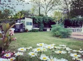 Casa Vacanze Fattoria Pozzitello