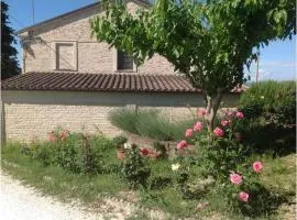All'ombra degli Ulivi B&B