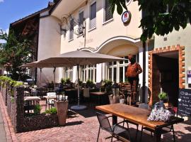 Hotel zum Hirschen，位于Villigen的酒店