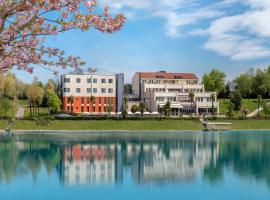 泰希皇家泰式温泉酒店，位于Spresiano的酒店