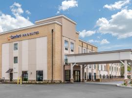 Comfort Inn & Suites Schenectady - Scotia，位于斯克内克塔迪Union College附近的酒店