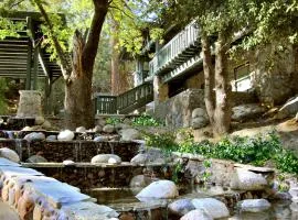 The Grand Idyllwild Lodge