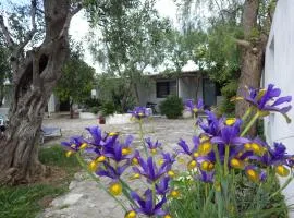 B&B Masseria Liberatore