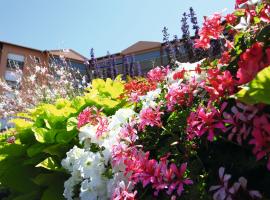 LES TERRASSES DE BORDA***，位于达克斯的酒店