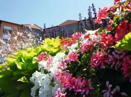 LES TERRASSES DE BORDA***