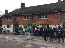 The Swan，位于Fittleworth的酒店