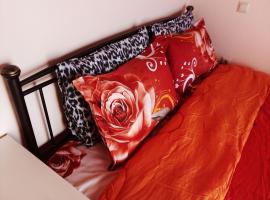 S.D APARTMENT 2，位于拉夫里翁的酒店