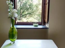 La Quercia di Aorivola