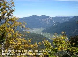 Apartment 14 Edelweiss Gosau