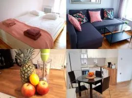 Apartament Toruń, Szeroka Cosy Apartment