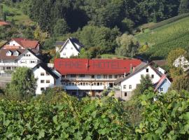 Hotel Faxe Schwarzwälder Hof，位于卡佩尔罗德克的酒店
