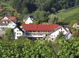 Hotel Faxe Schwarzwälder Hof