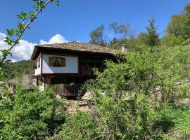 Q.pova house，位于科瓦切维卡的酒店