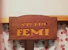 Studio Femi