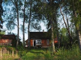 Allika-Löövi Sauna Cabin，位于Suure-Jaani库尔加C.R Jakobson农场博物馆附近的酒店