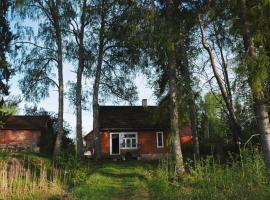 Allika-Löövi Sauna Cabin，位于Suure-Jaani的酒店