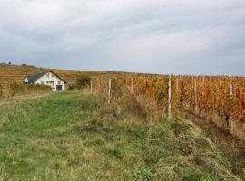 CASA DIN VIE，位于Urlaţi的酒店