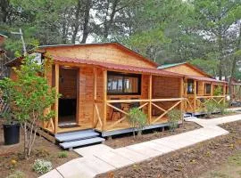 Saranda Beach Bungalow