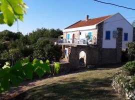 Holiday House Stari Volat