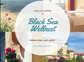 Black Sea Wellnest，位于阿赫洛伊的海滩短租房