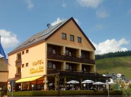 Hotel Zum Fährturm，位于梅灵的酒店