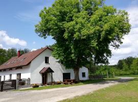 Penzion Starobor，位于Sedlice的酒店