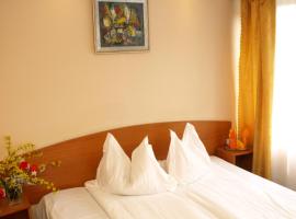 Hotel Slanic，位于斯勒尼克的酒店