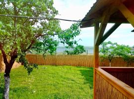 Casa Batranului Pescar - Old Fisherman's House，位于茹里洛夫卡的酒店