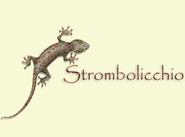 Strombolicchio，位于斯特龙博利的公寓