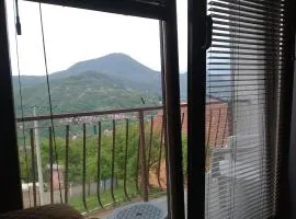 Smestaj Rakovic