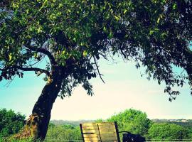 Campamento Turístico Brandoñas，位于Brandoñas的酒店