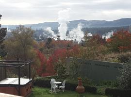 Geyser Lookout BnB，位于罗托鲁瓦的ä½å®¿åŠ æ—©é¤æ—…é¦†