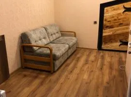 Apartment Zaziashvili 30