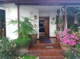 Hostal Centro，位于库里科的酒店