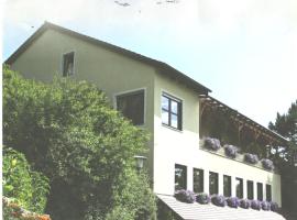 Landgasthaus Zum Erlengrund，位于Emskirchen的酒店
