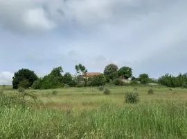 Domaine le Commandaire