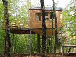 Treehouse Lika 2