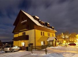 Schneeberg Apartmany，位于博兹达尔的滑雪度假村