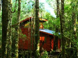 Cabañas Bosque Milenario，位于柯纳里佩的木屋