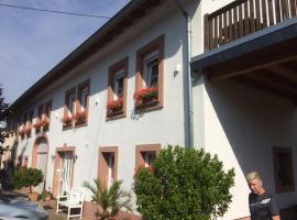 Ferienwohnung Schmitz，位于Serrig的酒店