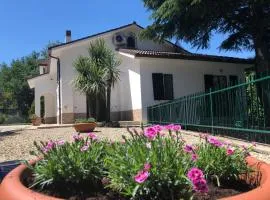 B&B Zac House