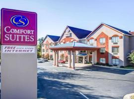 Comfort Suites Northside Hospital Gwinnett，位于罗维莎的酒店