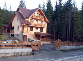 Vidra Parc，位于沃伊内亚萨的酒店