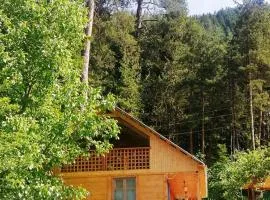 Guest House Ilia