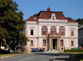 Hotel Nová radnice，位于弗塞廷的酒店