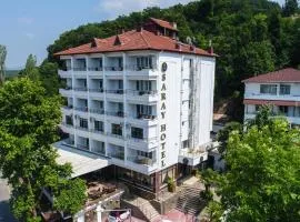 Thermal Saray Hotel & Spa Yalova