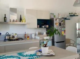 B&B Albatros