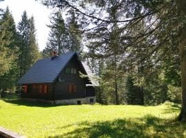 Chalet Stara Jelka Pokljuka，位于佐尔尼耶戈迪的酒店